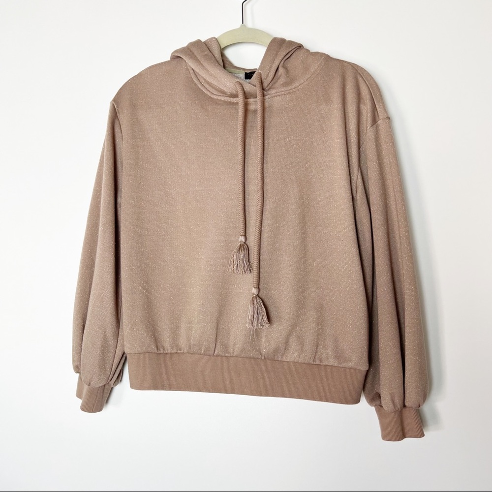 Anthro Current air metallic sparkle hoodie